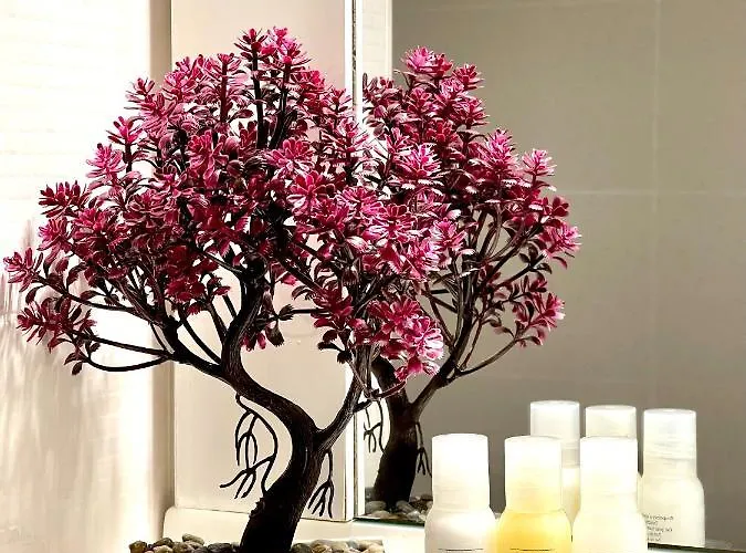 아파트 National Arena 2 부쿠레슈티